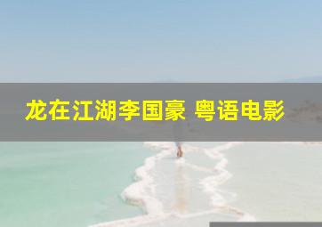 龙在江湖李国豪 粤语电影